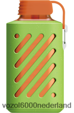 VOZOL Kopen - VOZOL GEAR 10000 2F6820310 aardbei-kiwi