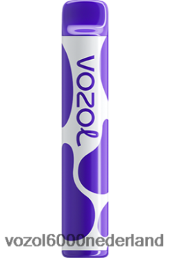 VOZOL Nederland - VOZOL JOYGO 600 2F6820381 druiven ijs