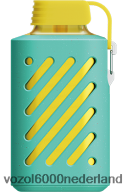 VOZOL Vape Kopen - VOZOL GEAR 10000 2F6820306 frambozen watermeloen