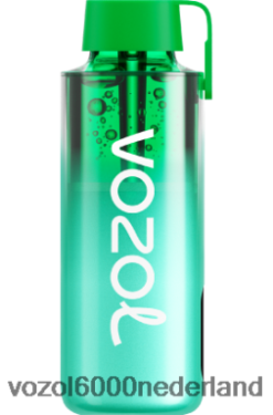 VOZOL Vape Kopen - VOZOL NEON 10000 2F6820229 miami munt