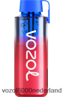 VOZOL Vape Kopen - VOZOL NEON 10000 2F6820243 bosbessen ijs