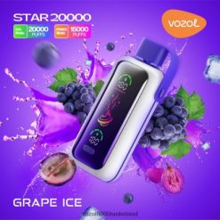 VOZOL Vape Kopen - VOZOL STAR 20000 2F6820404 druiven ijs