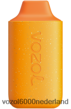 VOZOL Vape Kopen - VOZOL STAR 6000 2F6820124 pompoen latte