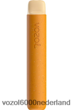VOZOL Vape Kopen - VOZOL STAR 600 2F682082 ijskoude mango