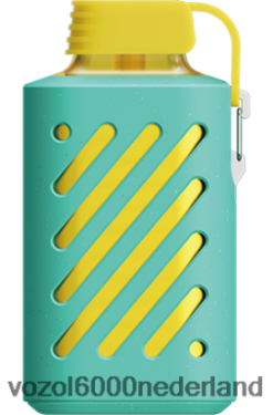 VOZOL Vape Prijs - VOZOL GEAR 10000 2F6820298 miami munt