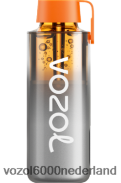 VOZOL Vape Prijs - VOZOL NEON 10000 2F6820228 regenboog zuur