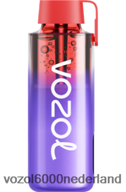 VOZOL Vape Prijs - VOZOL NEON 10000 2F6820242 bramen ijs