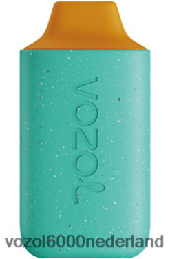 VOZOL Vape Prijs - VOZOL STAR 6000 2F6820102 ceder pomelo