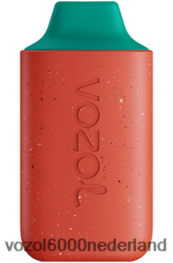 VOZOL Vape Prijs - VOZOL STAR 6000 2F6820130 aardbeienijs