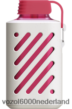 VOZOL Vapes Kopen - VOZOL GEAR 10000 2F6820301 perzik ijs