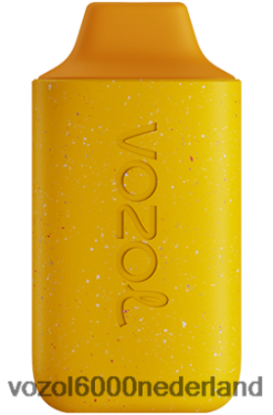 VOZOL Vapes Kopen - VOZOL STAR 6000 2F6820119 mango perzik ananas