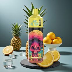 JNR Alien 10000 Puffs Disposable Vape Ananas ijs met 850mAh batterij, 20ml vloeistof en RGB-verlichting