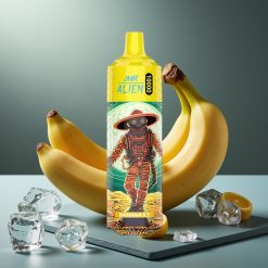 JNR Alien 10000 Puffs Disposable Vape Banaan IJs – 850mAh, 20ml, Type-C, RGB