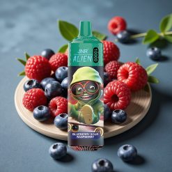 JNR Alien 10000 Puffs Disposable Vape Blauwe Bes Zure Framboos met 850mAh Battery, 20ml E-liquid en RGB LED