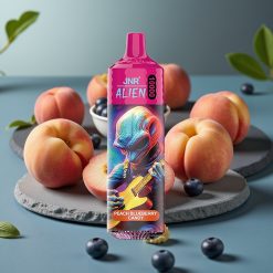 JNR Alien 10000 Puffs Disposable Vape Perzik Blauwe Bes Snoep – 850mAh, 20ml, Type-C, LED