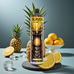 JNR Calavera 11000 Puffs Disposable Vape Ananas IJs met Type-C, 850mAh, 21ml, 1.0ohm Mesh Coil