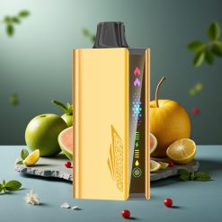 JNR Cruiser 12000 Puffs No-Charge Disposable Vape Koel Munt - 3500 mAh, 25ml, Dual Mesh Coil, Metal Body