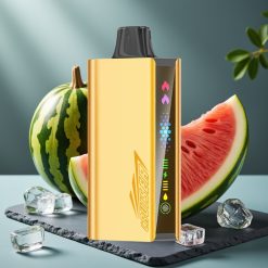 JNR Cruiser 12000 Puffs Oplaadbare Disposable Vape Watermeloen Ijs Met 3500 mAh Accu & Touchscreen