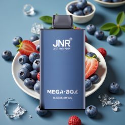 JNR Mega Box 25000 Puffs Wegwerp Vape Bosbes IJs – 30ml, 850mAh, Dual Mesh, Type-C, 2% Nicotine
