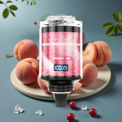 JNR Mega Shisha Hookah 100K Desktop Compatibel Perzikijs 60ml 2200mAh 2% Nicotine