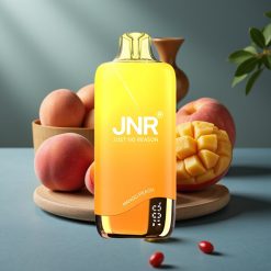 JNR Rainbow 10500 Puffs Wegwerp Vape Mango Perzik – 18ml, USB-C, 0/2/5% Nicotine