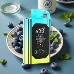 JNR Shisha Hookah Box 20500 Puffs Disposable Vape Bosbes Munt - HD Display, 1000mAh, 25ml, Dual Mesh Coil, Type-C, 0/2/5% Nicotine