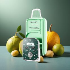 JNR VapeWatch 30.000 Puffs Wegwerp Vape Miami Munt – 19mL, 5%, Dual Mesh Coil, Type-C